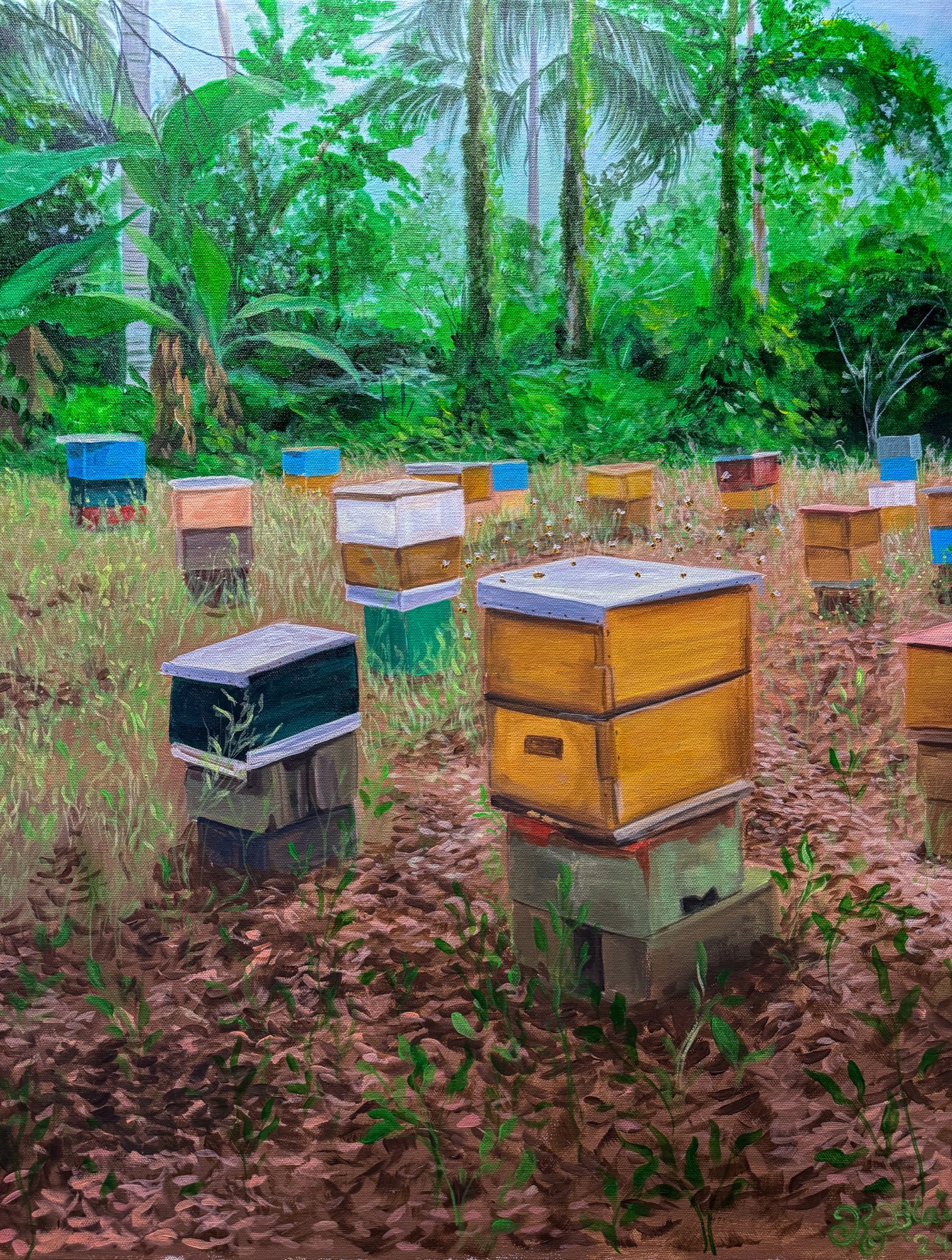 Colonia de Abejas
